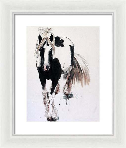 Gypsy Vanner - Framed Print
