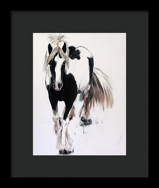 Gypsy Vanner - Framed Print