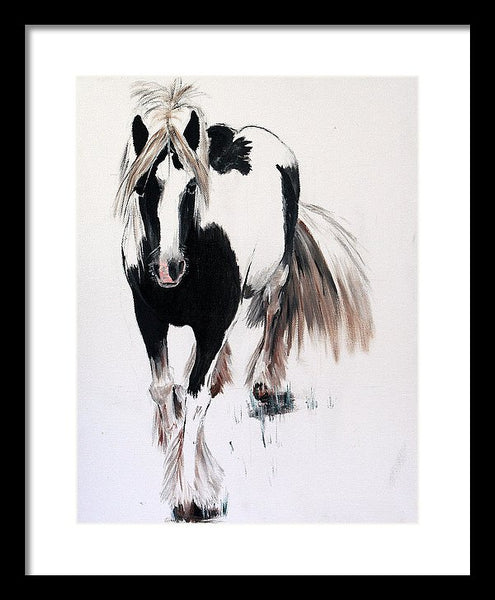 Gypsy Vanner - Framed Print