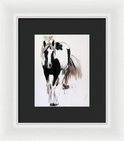 Gypsy Vanner - Framed Print