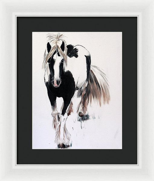 Gypsy Vanner - Framed Print
