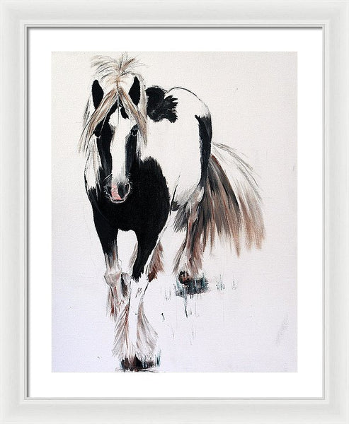 Gypsy Vanner - Framed Print