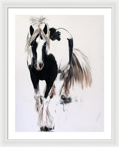 Gypsy Vanner - Framed Print