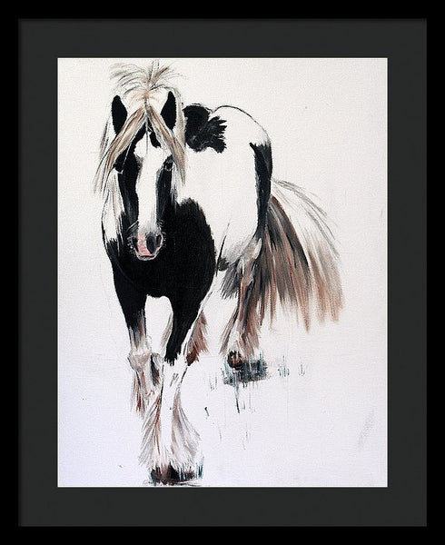 Gypsy Vanner - Framed Print