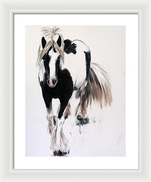 Gypsy Vanner - Framed Print