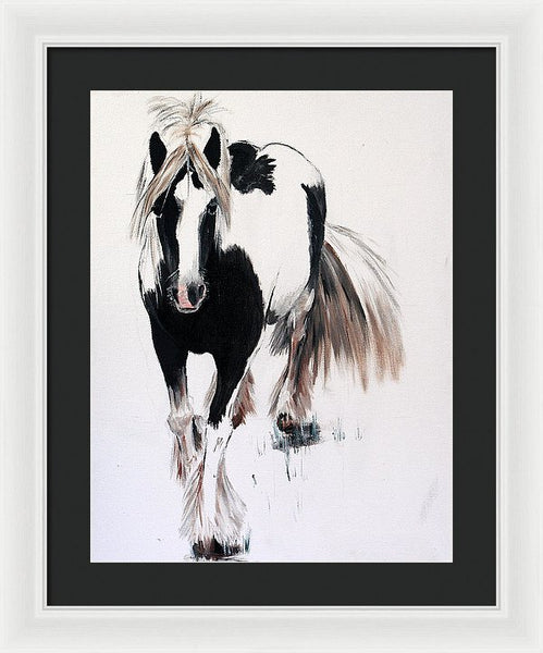 Gypsy Vanner - Framed Print