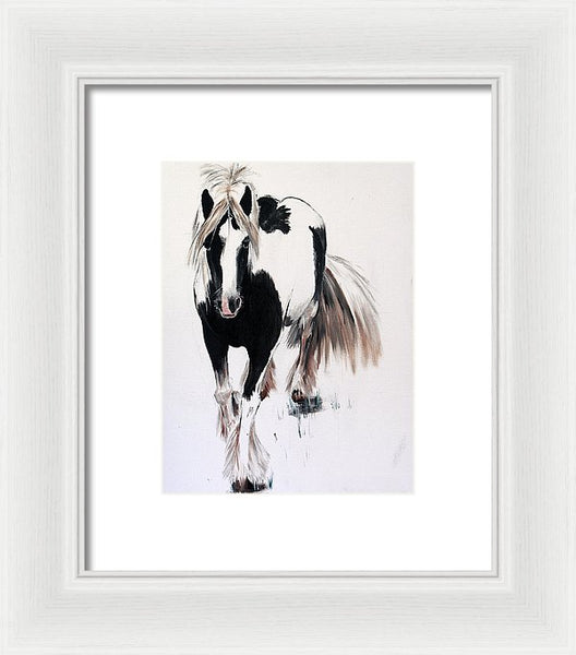 Gypsy Vanner - Framed Print