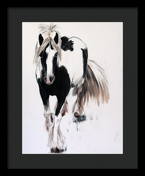 Gypsy Vanner - Framed Print