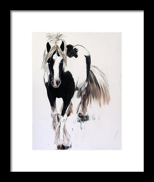 Gypsy Vanner - Framed Print