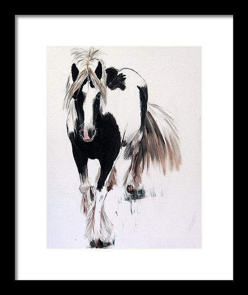 Gypsy Vanner - Framed Print