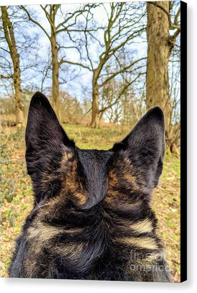Messenger - Canvas Print