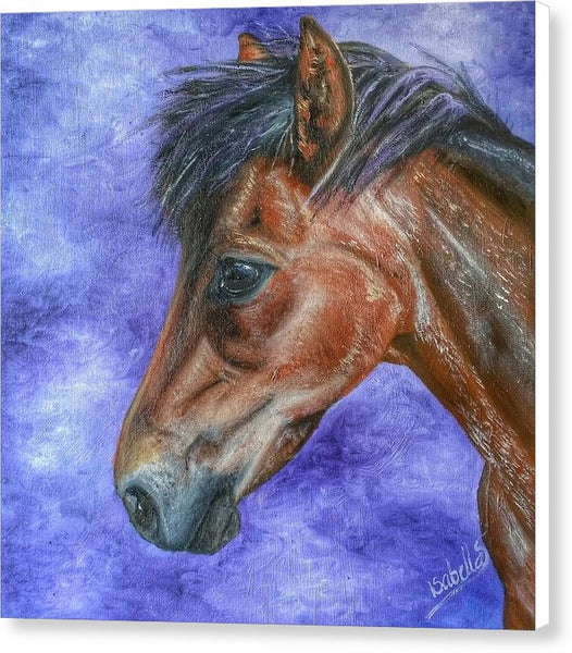 Portrait Of A Pony - Canvas Print