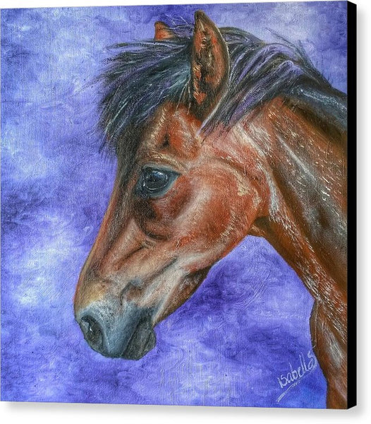 Portrait Of A Pony - Canvas Print