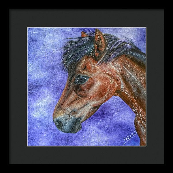 Portrait Of A Pony - Framed Print