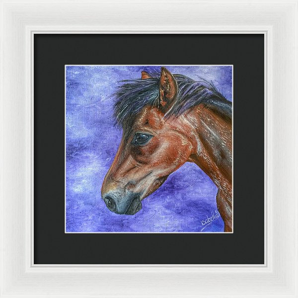 Portrait Of A Pony - Framed Print