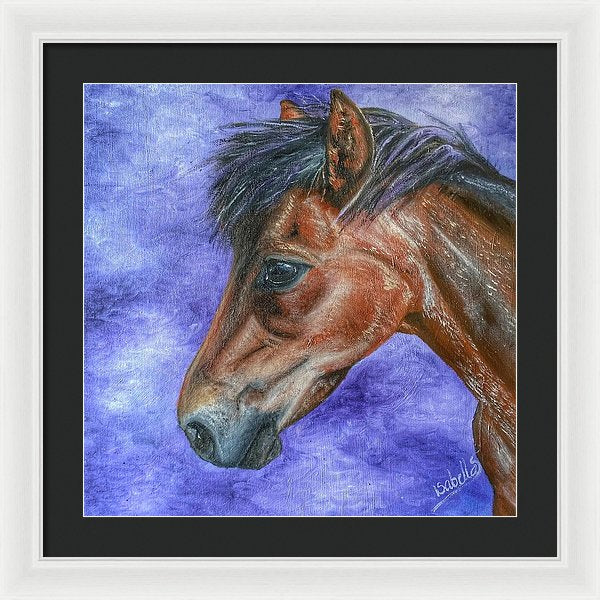 Portrait Of A Pony - Framed Print