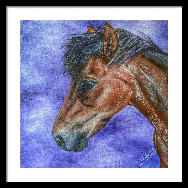Portrait Of A Pony - Framed Print