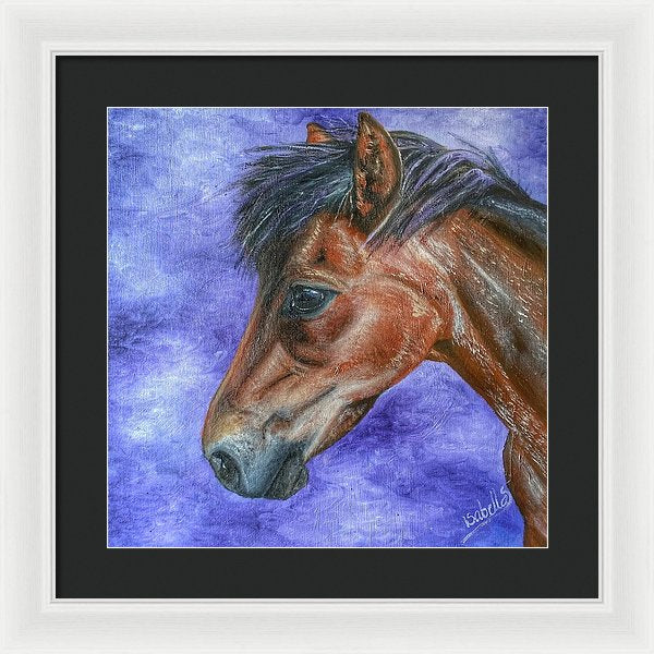 Portrait Of A Pony - Framed Print