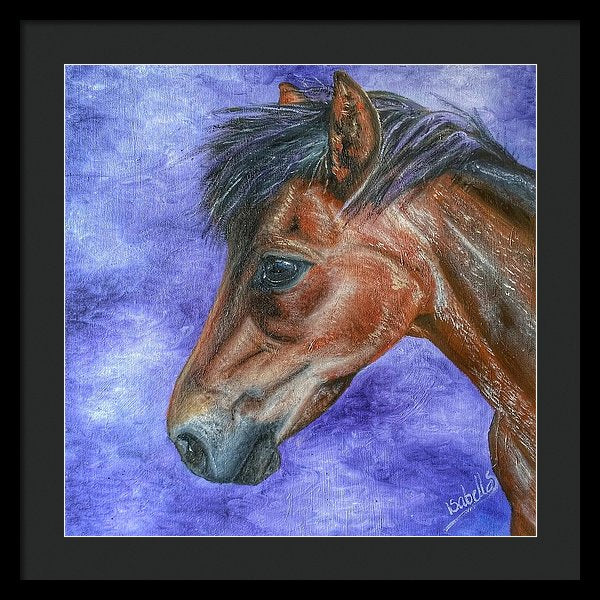 Portrait Of A Pony - Framed Print