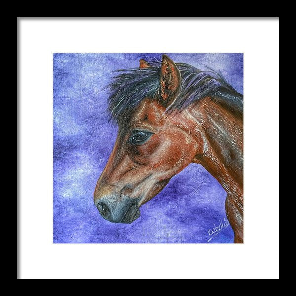 Portrait Of A Pony - Framed Print