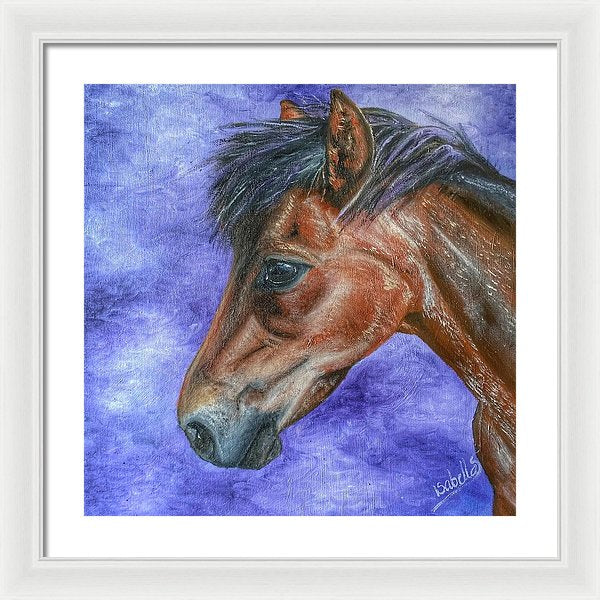 Portrait Of A Pony - Framed Print