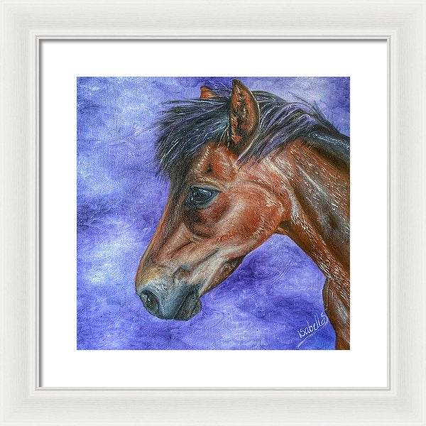 Portrait Of A Pony - Framed Print