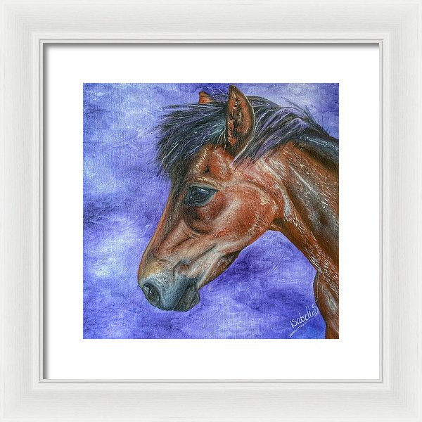 Portrait Of A Pony - Framed Print