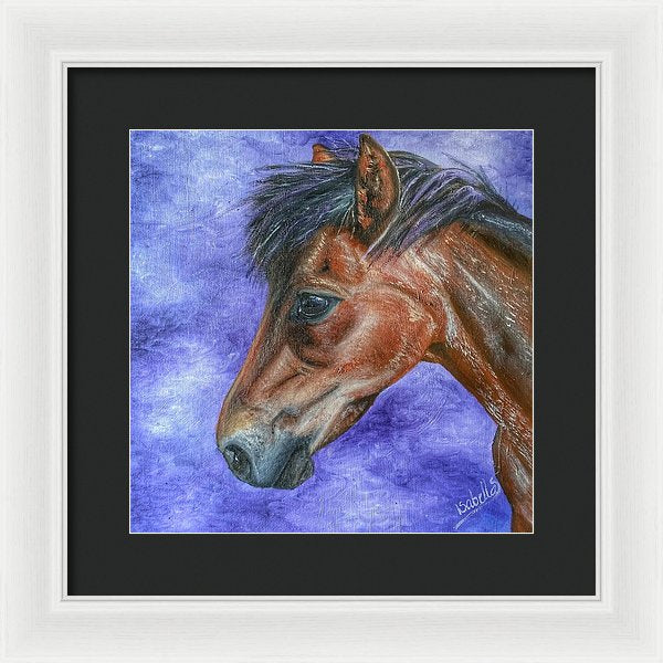 Portrait Of A Pony - Framed Print
