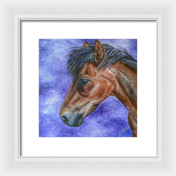 Portrait Of A Pony - Framed Print