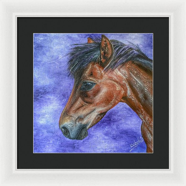 Portrait Of A Pony - Framed Print