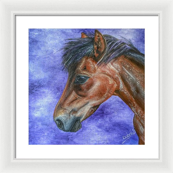 Portrait Of A Pony - Framed Print