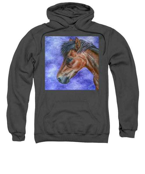 Portrait Of A Pony - Sweatshirt