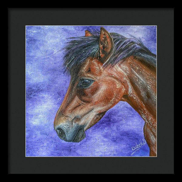 Portrait Of A Pony - Framed Print