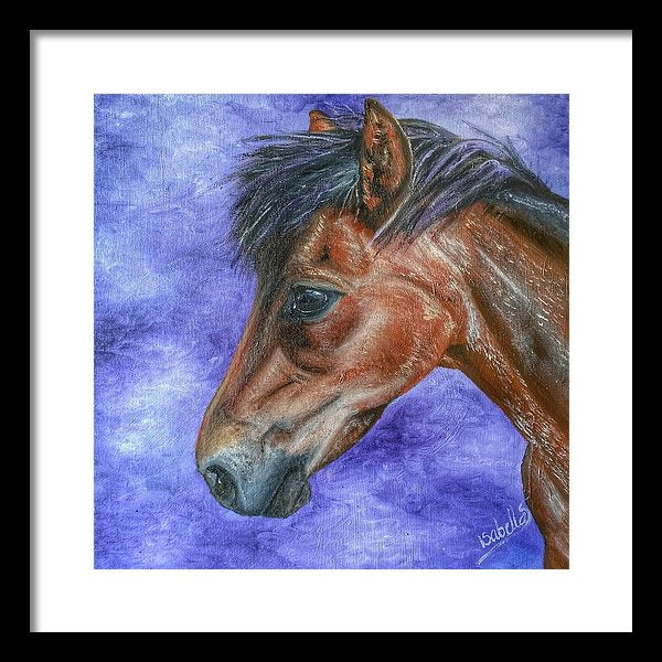 Portrait Of A Pony - Framed Print