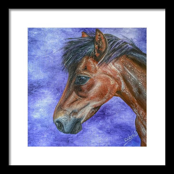 Portrait Of A Pony - Framed Print