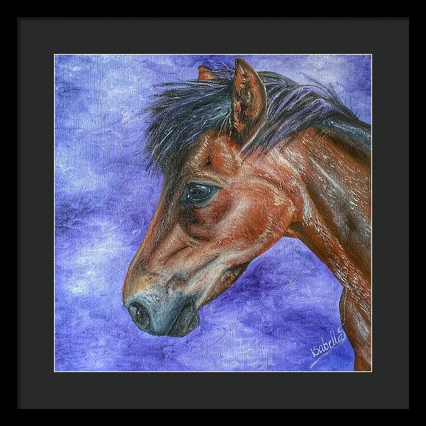 Portrait Of A Pony - Framed Print