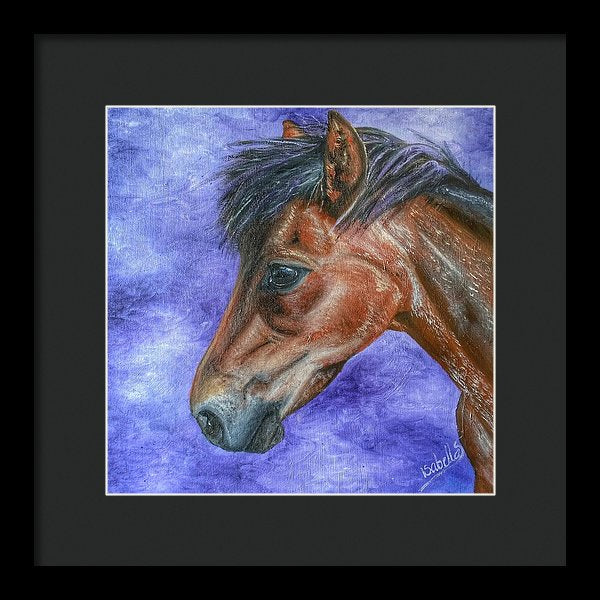 Portrait Of A Pony - Framed Print
