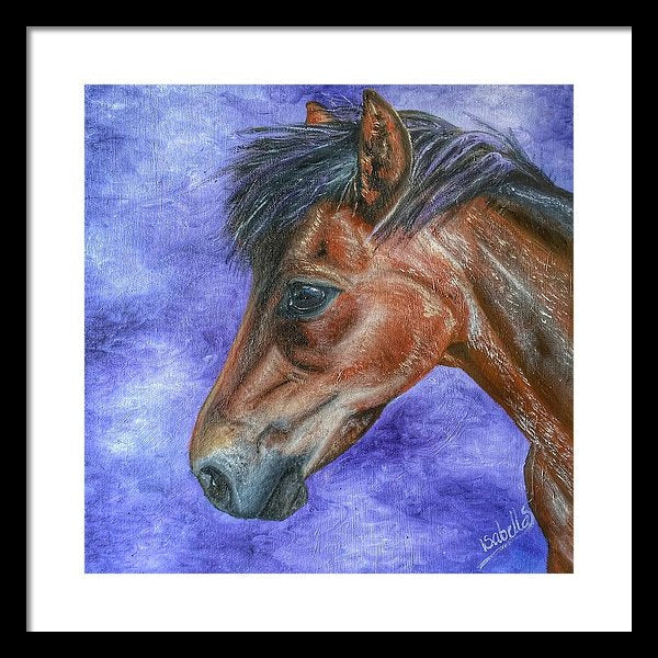 Portrait Of A Pony - Framed Print