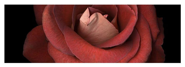 Red Rose - Yoga Mat