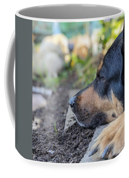 Sleep in the Garden - Mug