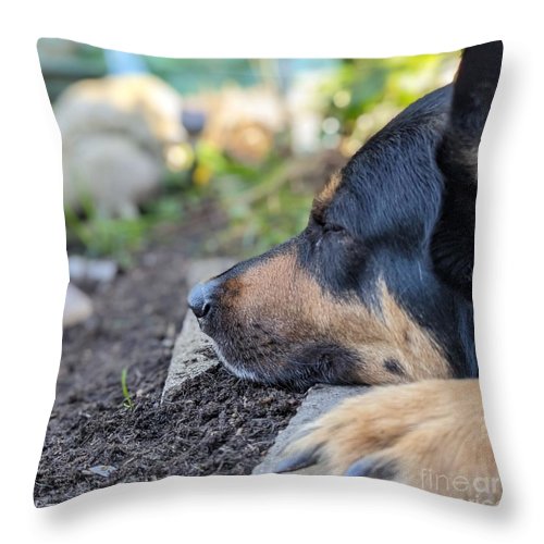 Sleep in the Garden - Throw Pillow