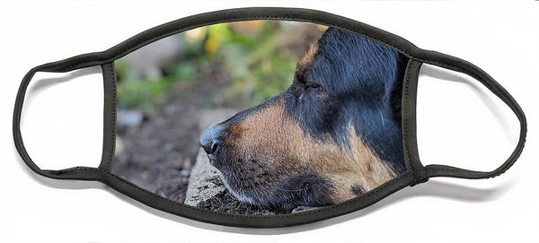 Sleep in the Garden - Face Mask