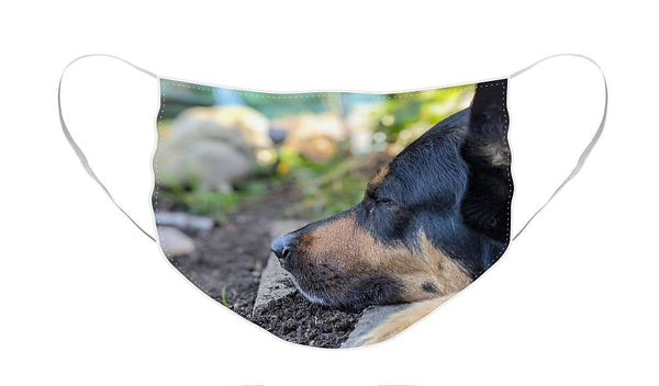 Sleep in the Garden - Face Mask