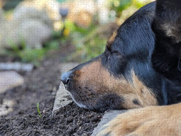 Sleep in the Garden - Puzzle