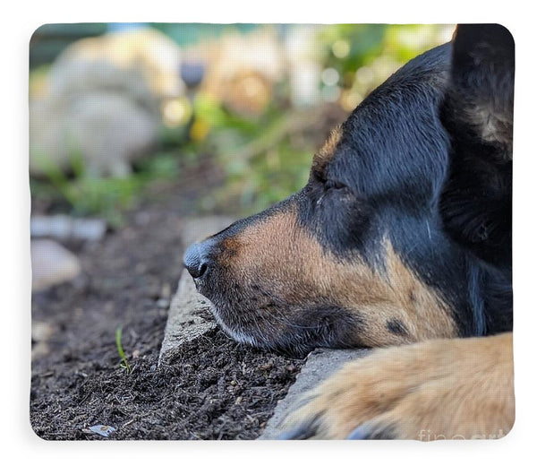 Sleep in the Garden - Blanket