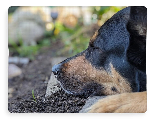 Sleep in the Garden - Blanket