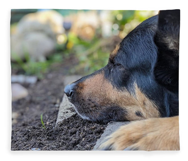 Sleep in the Garden - Blanket