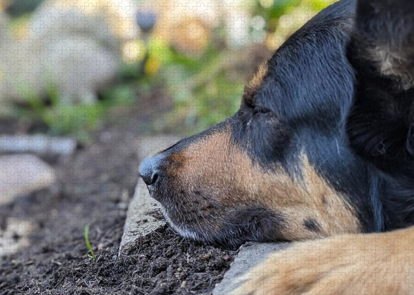 Sleep in the Garden - Puzzle