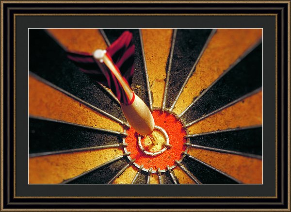 Target - Framed Print