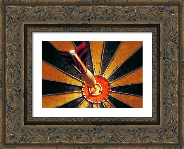 Target - Framed Print